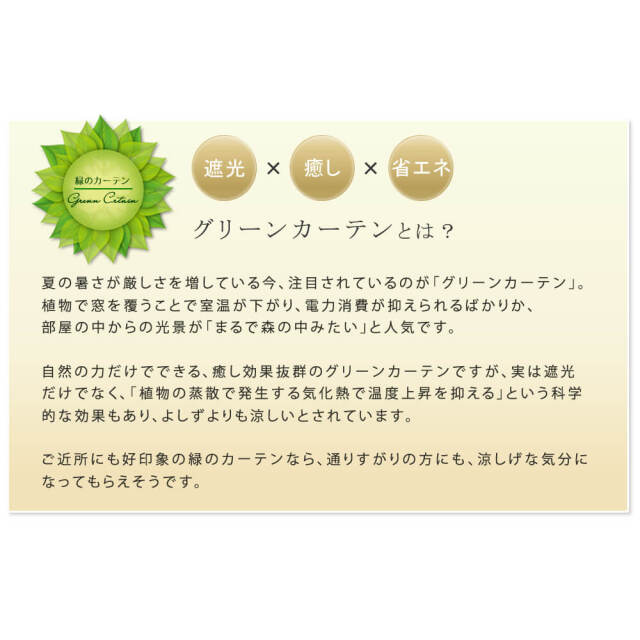 Steccato（ステッカート） アイアン製グリーンカーテン