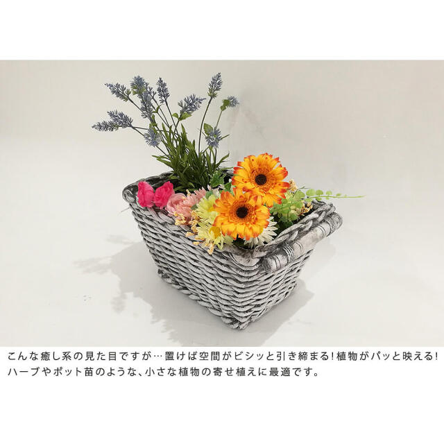 エクステリア