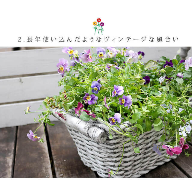 エクステリア