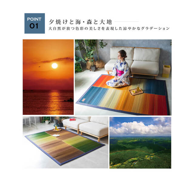 Joy（ジョイ） 国産い草ラグマット デニム生地タイプ