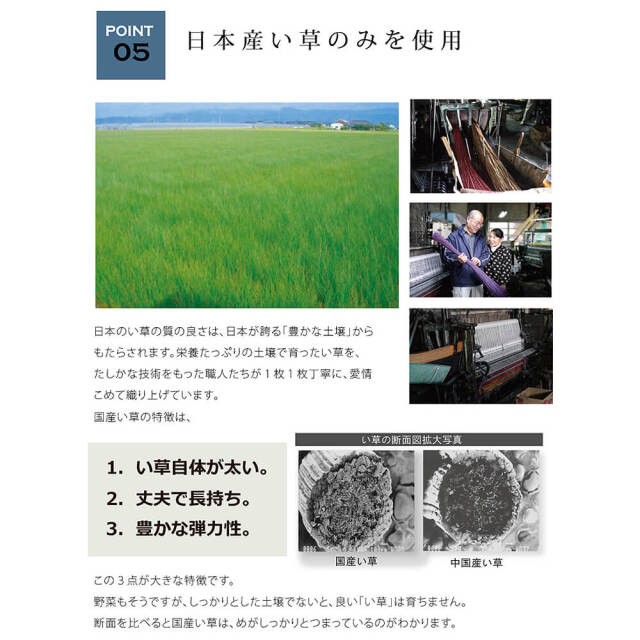 Joy（ジョイ） 国産い草ラグマット デニム生地タイプ