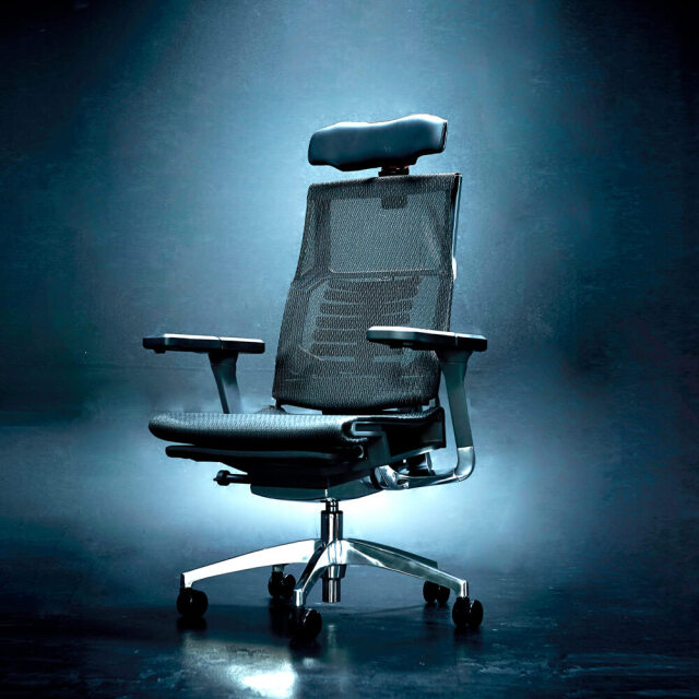 WINcase by Ergohuman ゲーミングチェア Type-R 