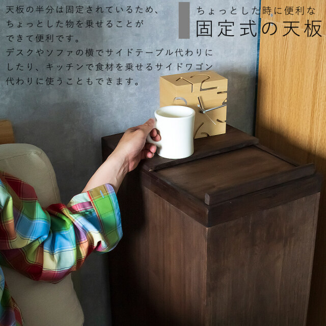 Pau（パウ） 天然木スライド式ダストボックス
