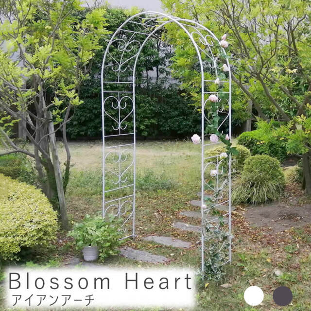 Blossom Heart（ブロッサムハート）アイアンアーチ