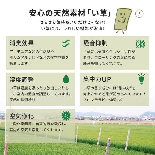 Ukyo（ウキョウ）国産い草ラグ191×191cm