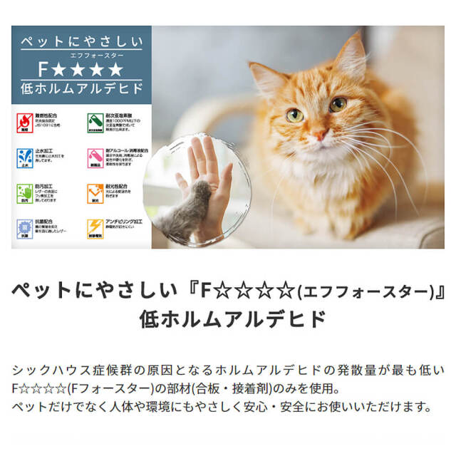 Soleil（ソレイユ）国産ペットソファ