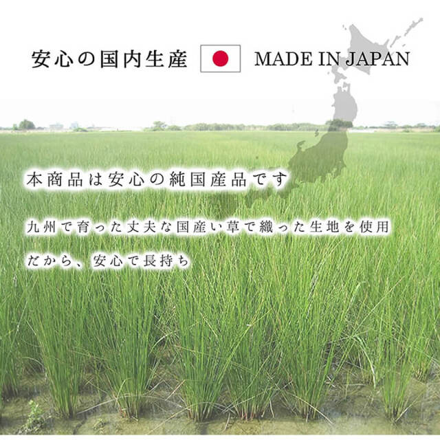 Morning（モーニング）国産い草ラグ 191×191cm