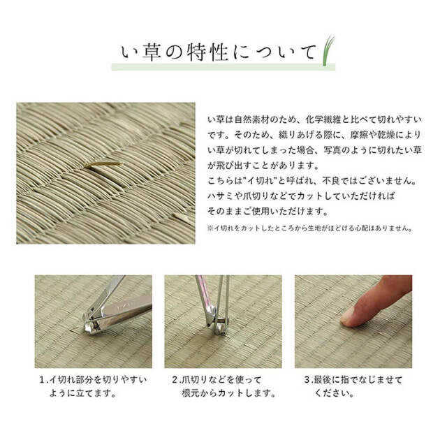 Morning（モーニング）国産い草ラグ 191×250cm