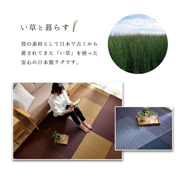 Morning（モーニング）国産い草ラグ 191×250cm