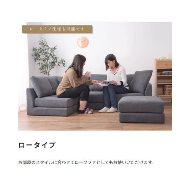 Amour（アムール）カウチソファ