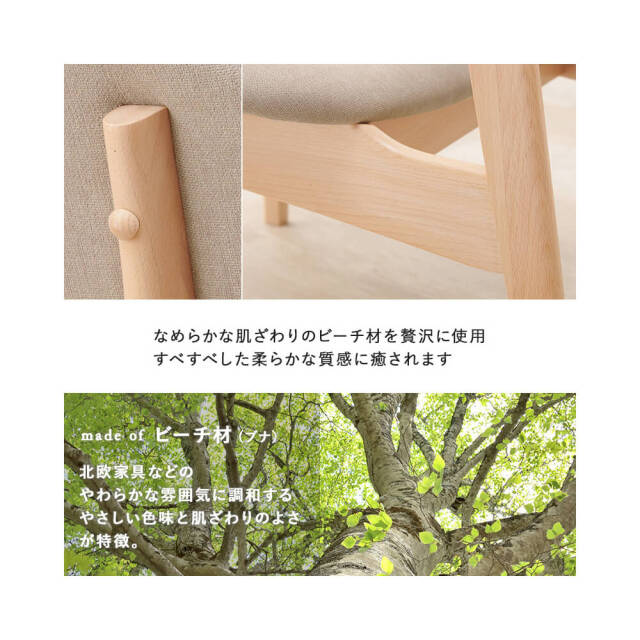 Pasc（パスク）ダイニングチェア2脚セット