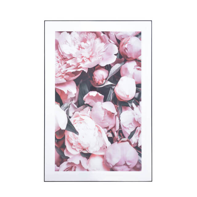 ART277　「ハマベブドウ」　ボタニカルアート Botanical（ボタニカル） アートパネル
