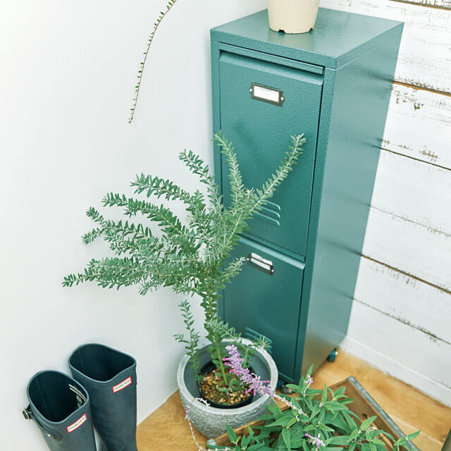 Rald（ラルド）2段ダストボックス