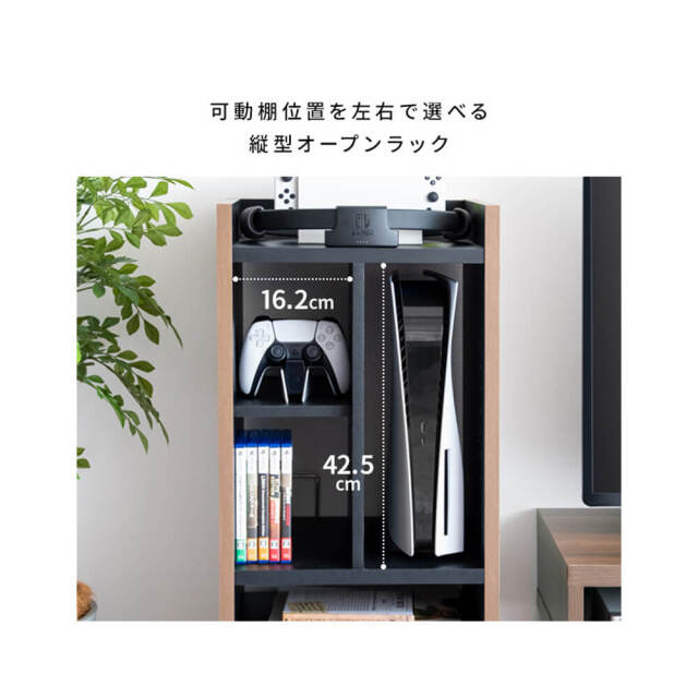 Ludus（ルードゥス） ゲーム機ラック