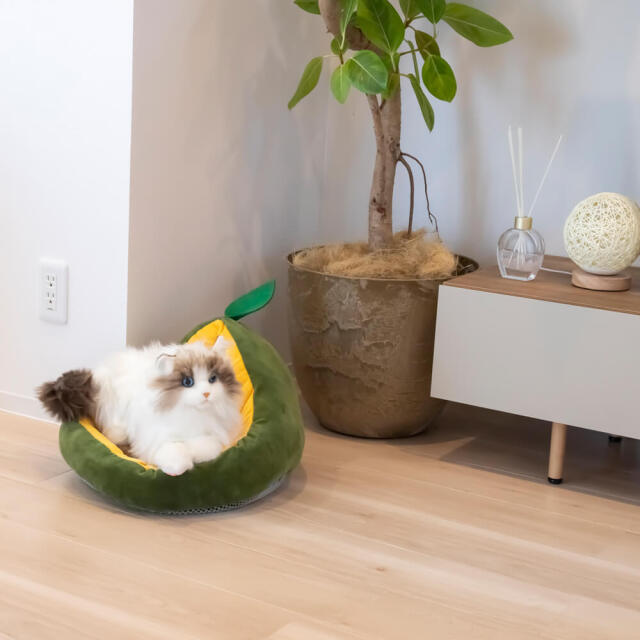 pidan（ピダン） 猫用ベッド アボガドタイプ