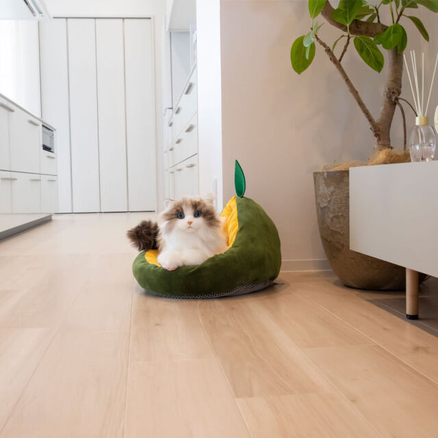 pidan（ピダン） 猫用ベッド アボガドタイプ