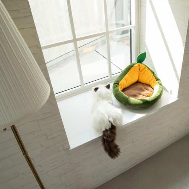 猫 ベッド
