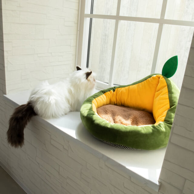 猫 ベッド