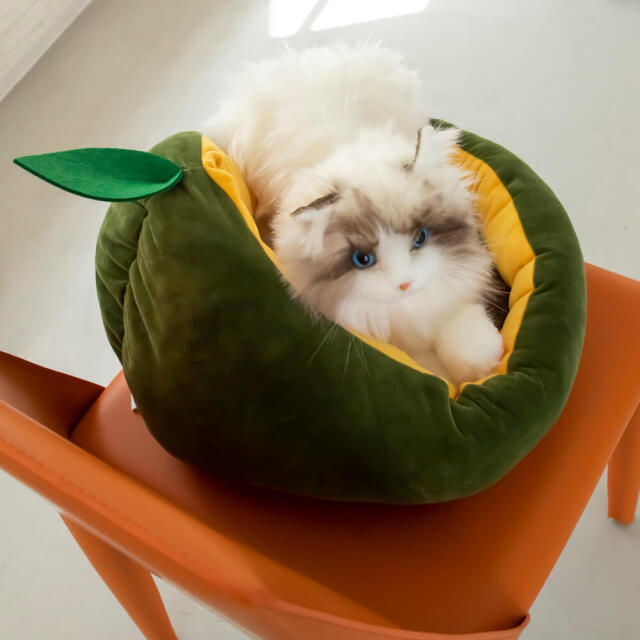 猫 ベッド