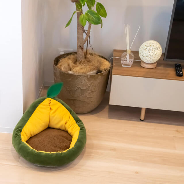 pidan（ピダン） 猫用ベッド アボガドタイプ