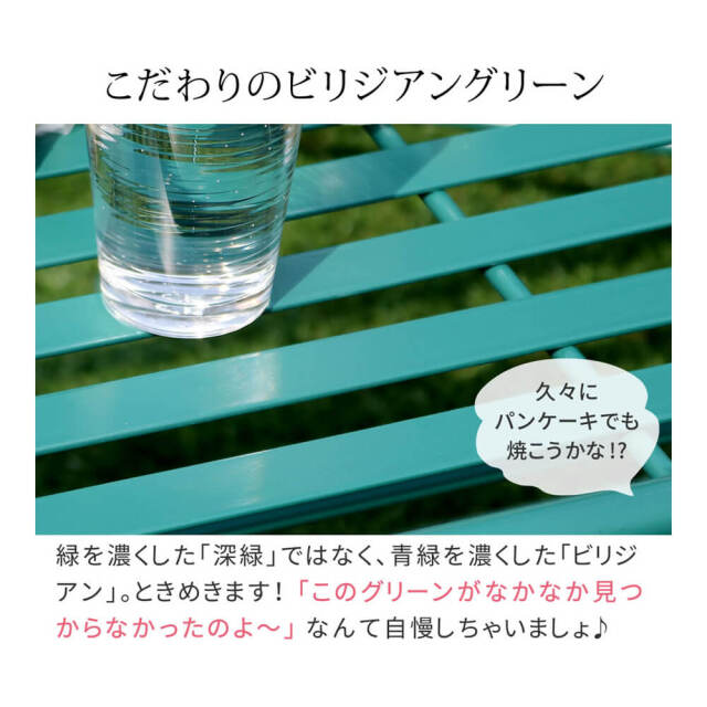 Feuillr (フイユ) アイアン製ローテーブル4点セット