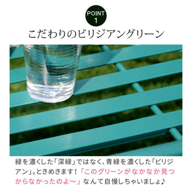 Feuillr (フイユ) アイアン製ローテーブル単品