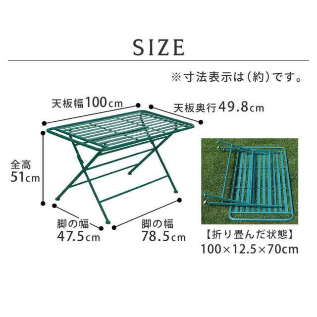 Feuillr (フイユ) アイアン製ローテーブル単品