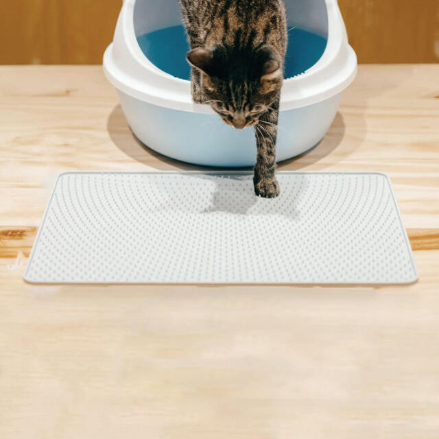 猫トイレ
