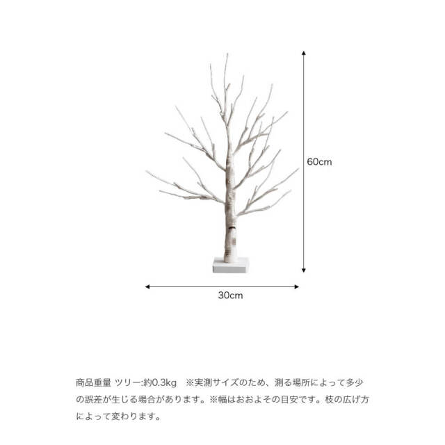 クリスマス