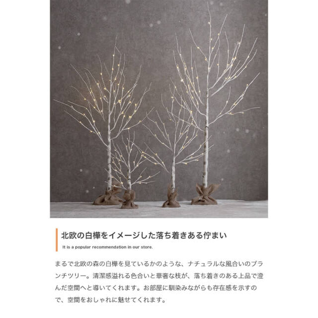 クリスマス
