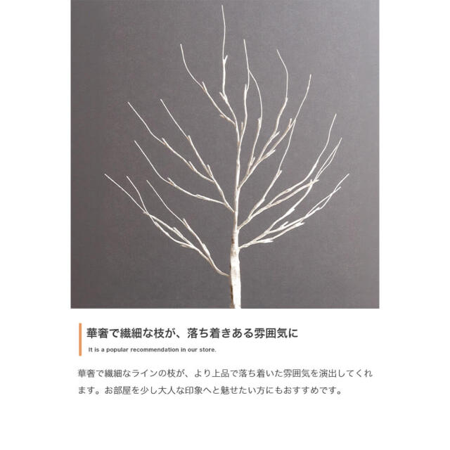 クリスマス