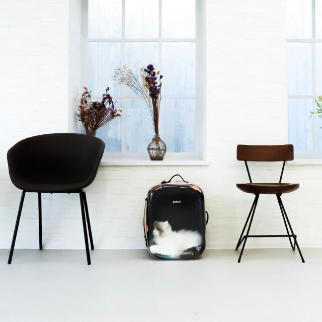 pidan（ピダン） ペット用キャリーバッグ