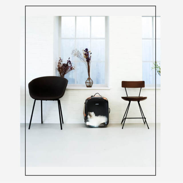 pidan（ピダン） ペット用キャリーバッグ