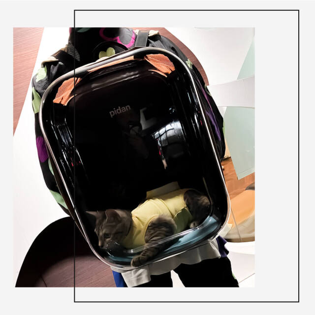 pidan（ピダン） ペット用キャリーバッグ