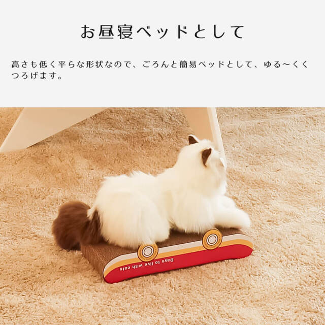 爪とぎ