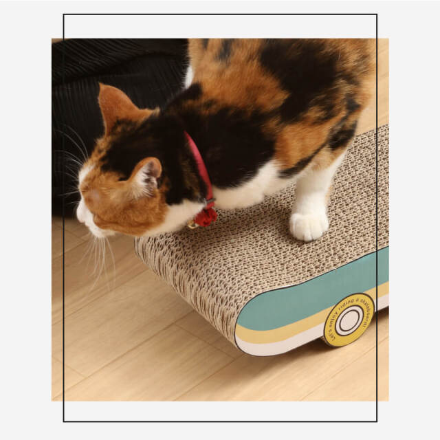 Mark（マーク） 猫の爪とぎ スケートボードタイプ