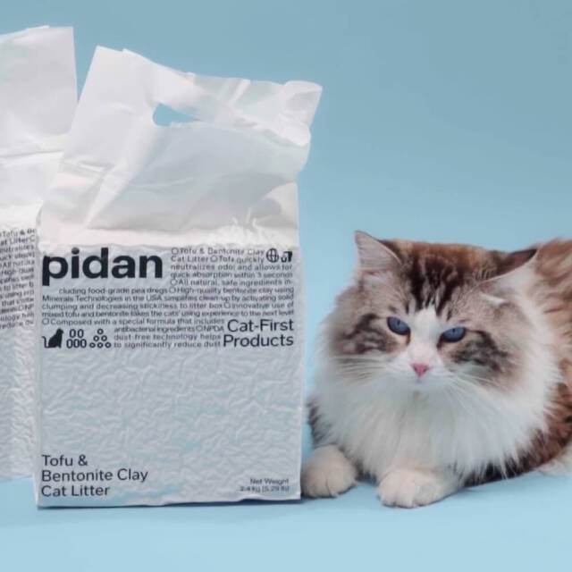 猫砂