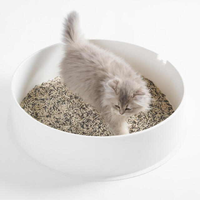 猫砂