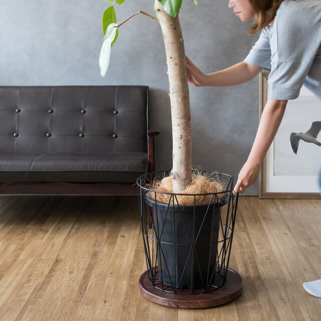 プランタースタンド