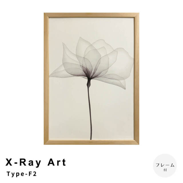 X-Ray Art Type-F2 アートポスター（フレーム付き）