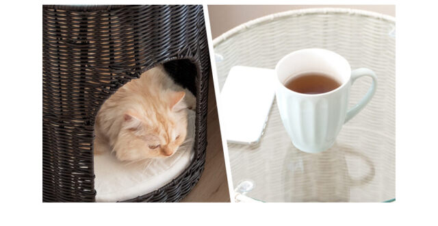 キャットハウス