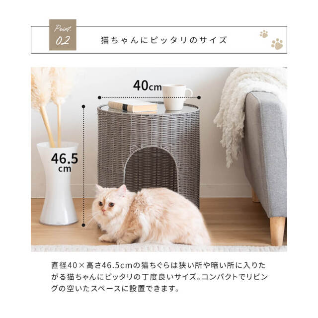 キャットハウス