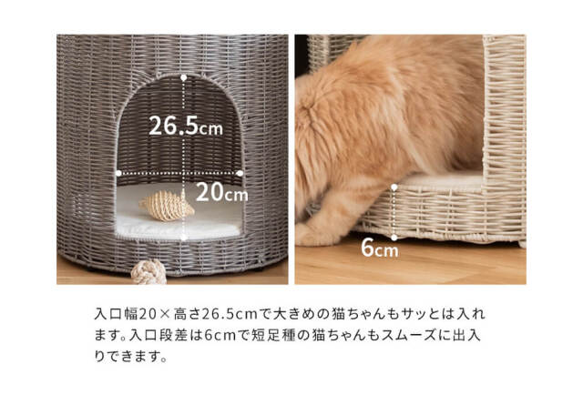 キャットハウス