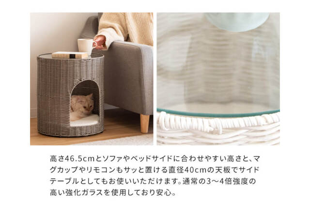 キャットハウス