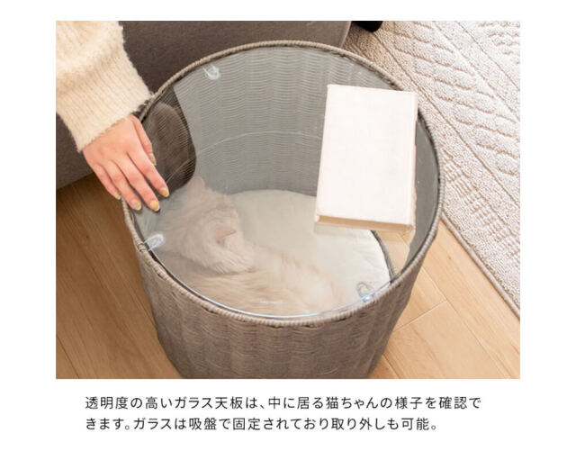 キャットハウス