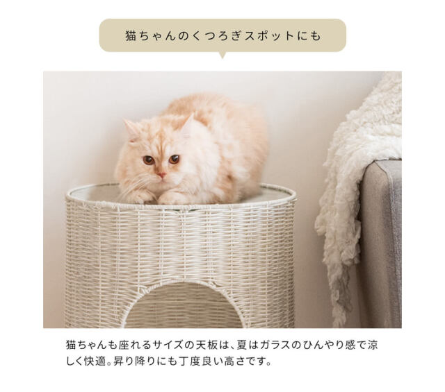 キャットハウス