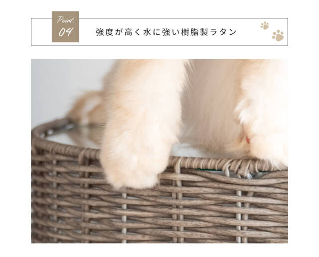 キャットハウス