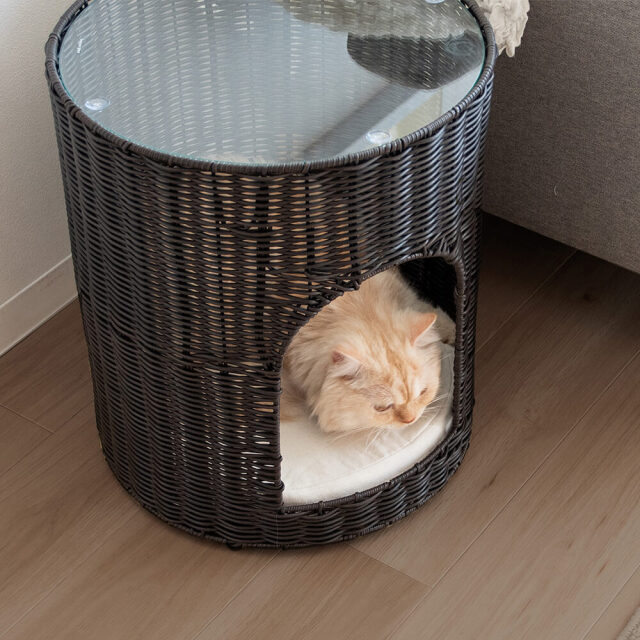 キャットハウス