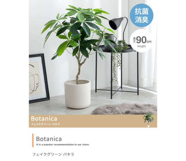 光触媒 人工観葉植物 抗菌消臭 ウォールグリーン 丸刈りパキラ14670 楽天市場】光触媒 観葉植物 高さ180cm 抗菌 人工観葉植物
