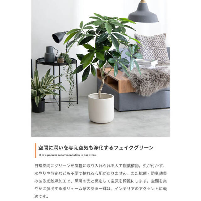 フェイクグリーン